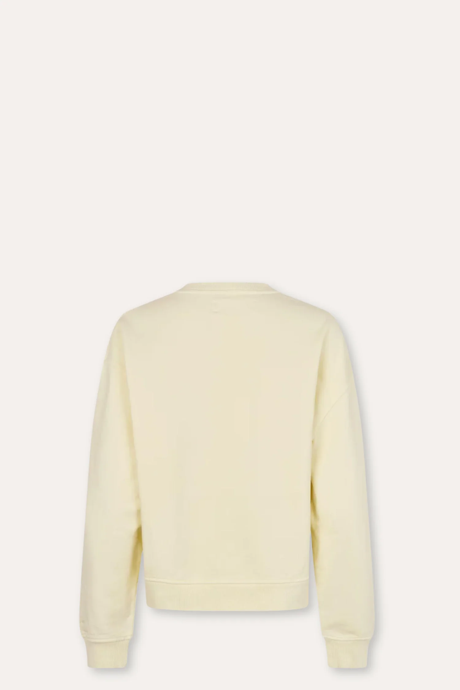 Savan Sweat 15697 - Etheral Green Pigment - Image 5
