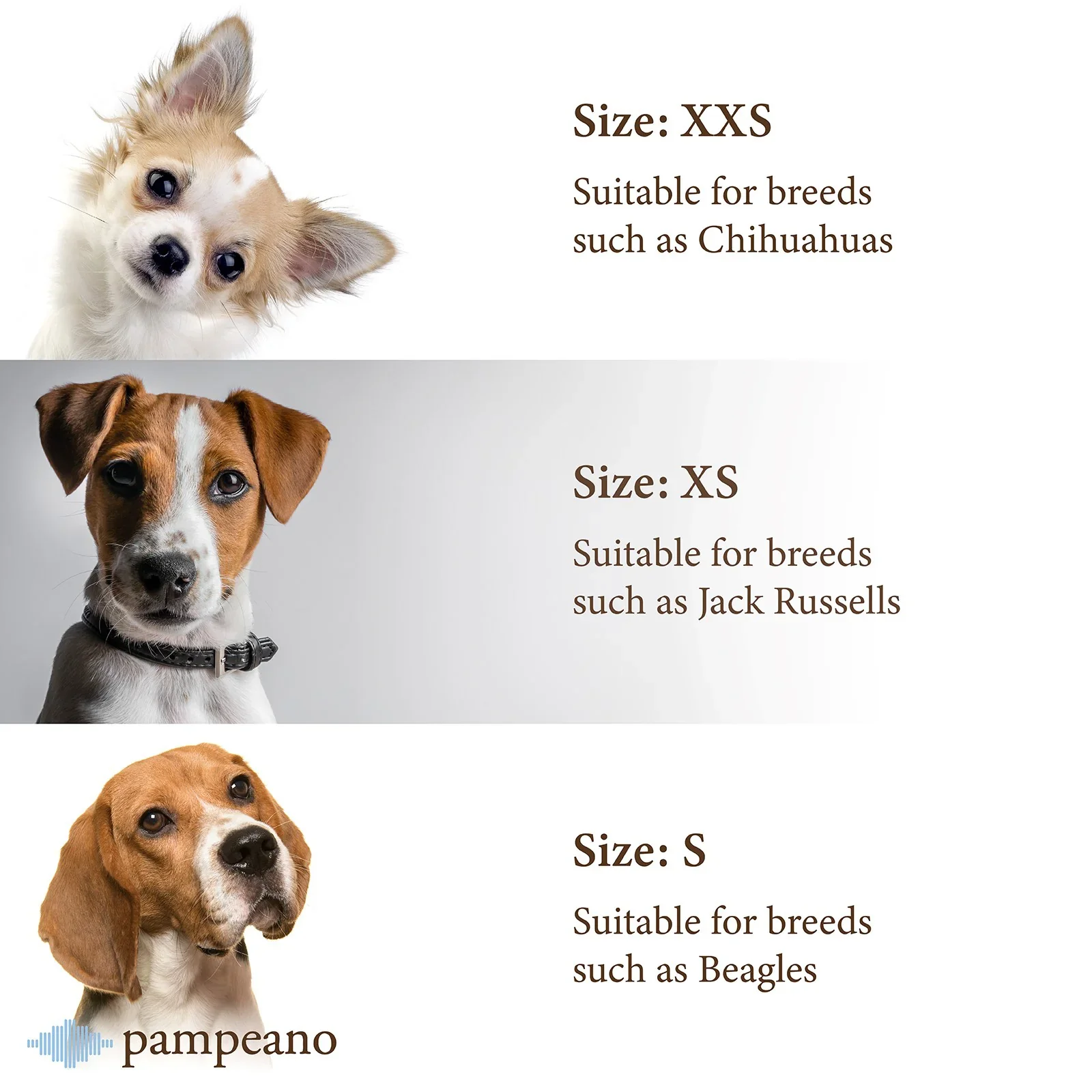 Pampa Dog Collar Caza - Image 5