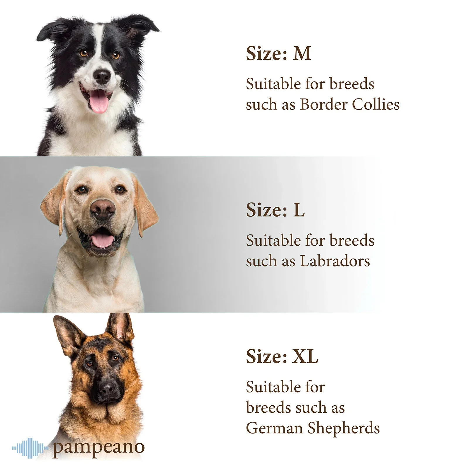 Pampa Dog Collar Caza - Image 6