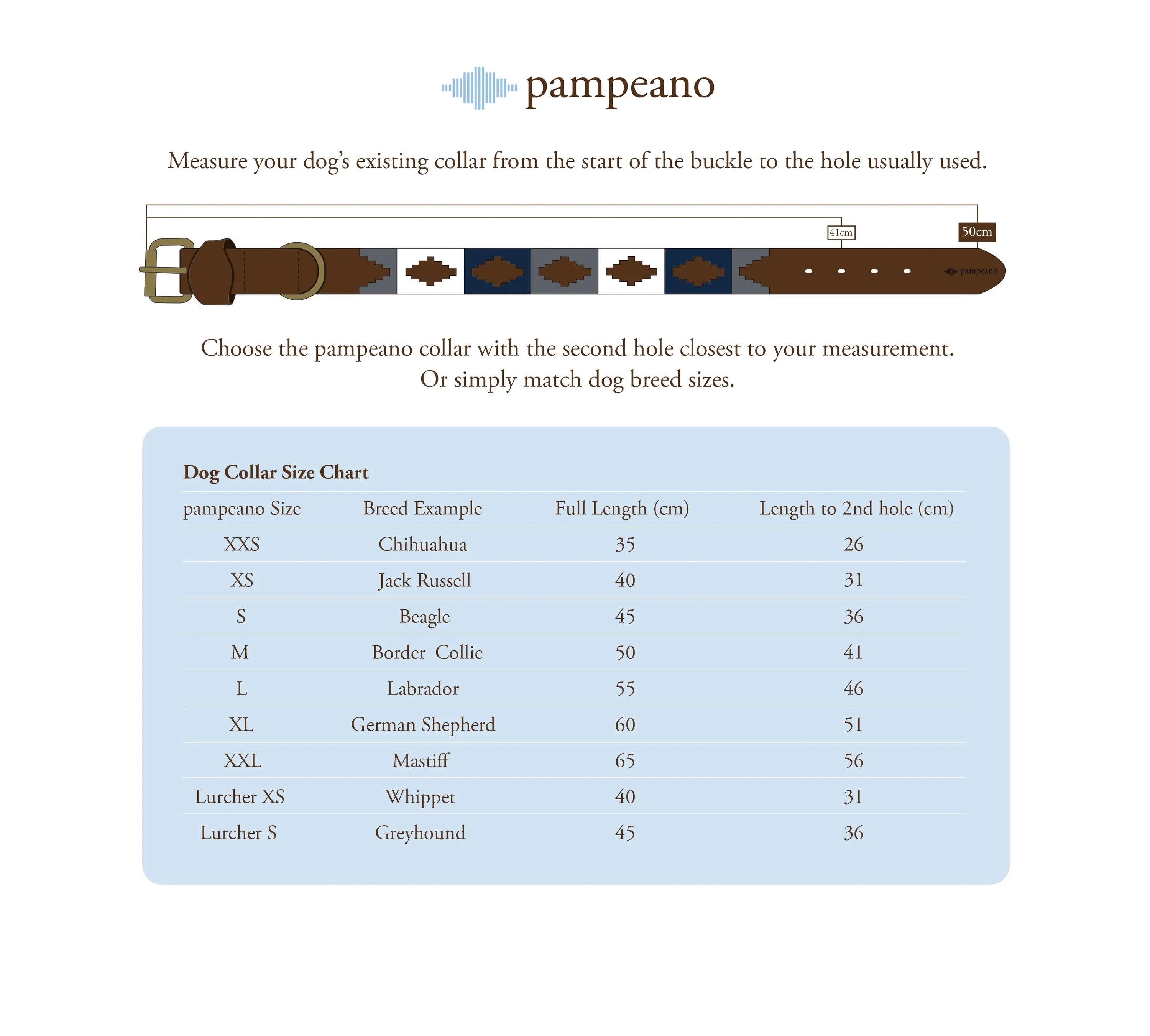 Pampa Dog Collar Caza - Image 7